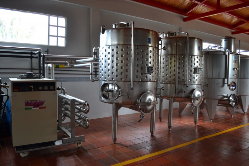 cave-TOUDON-min_wine_production_cantine_winery_drink_alcohol_vine_beverage-902036